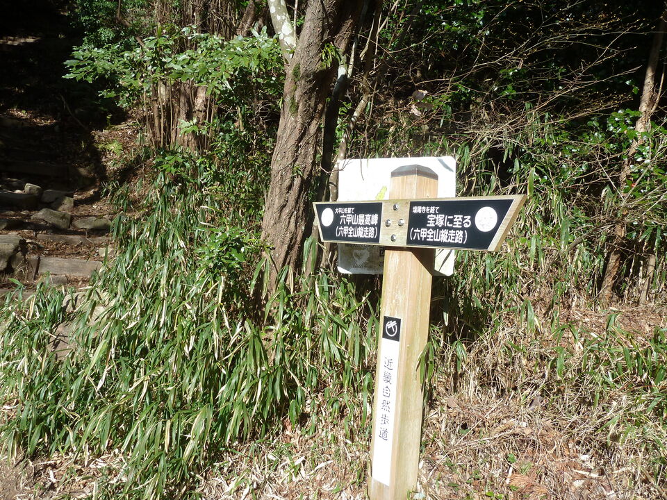 P1150334_mid.jpg