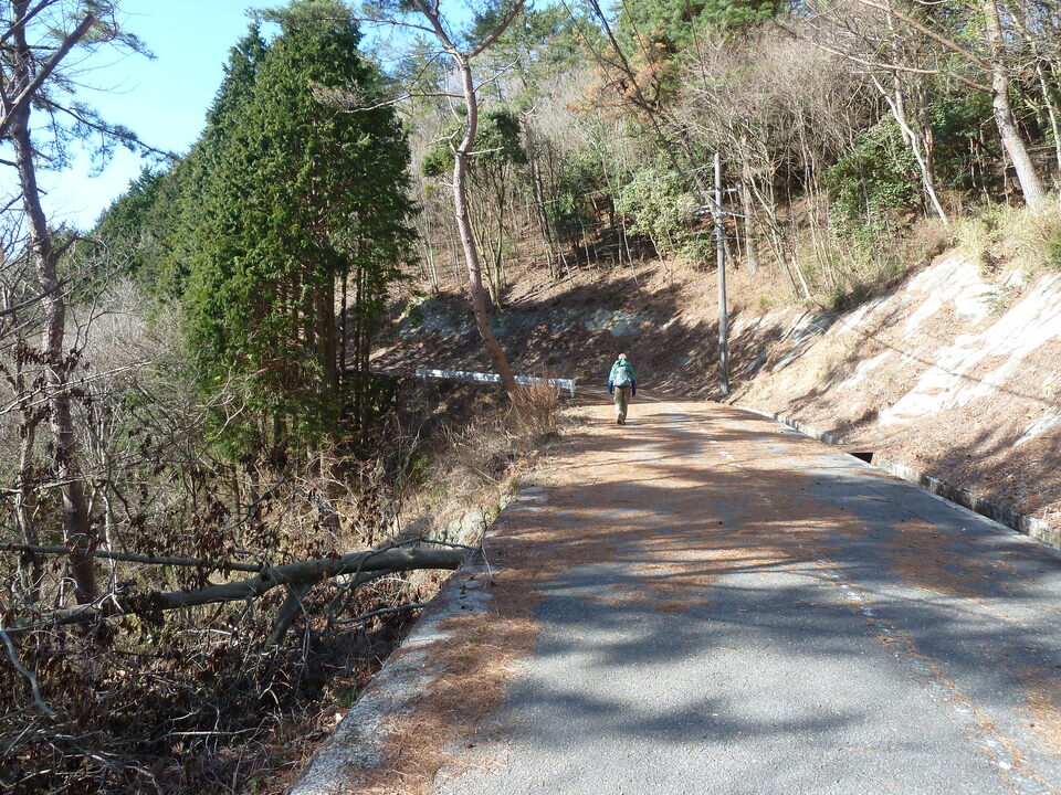 P1150337_mid.jpg