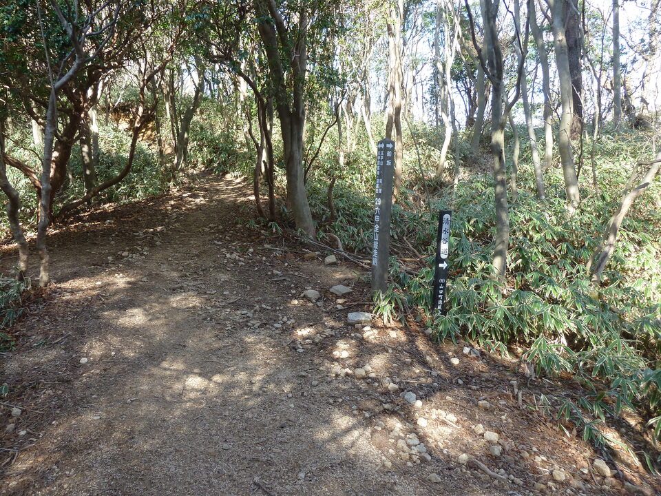 P1150342_mid.jpg
