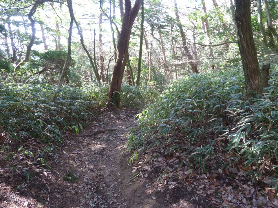 P1150345_mid.jpg