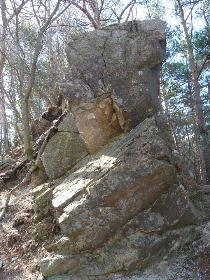 P1150346_mid.jpg
