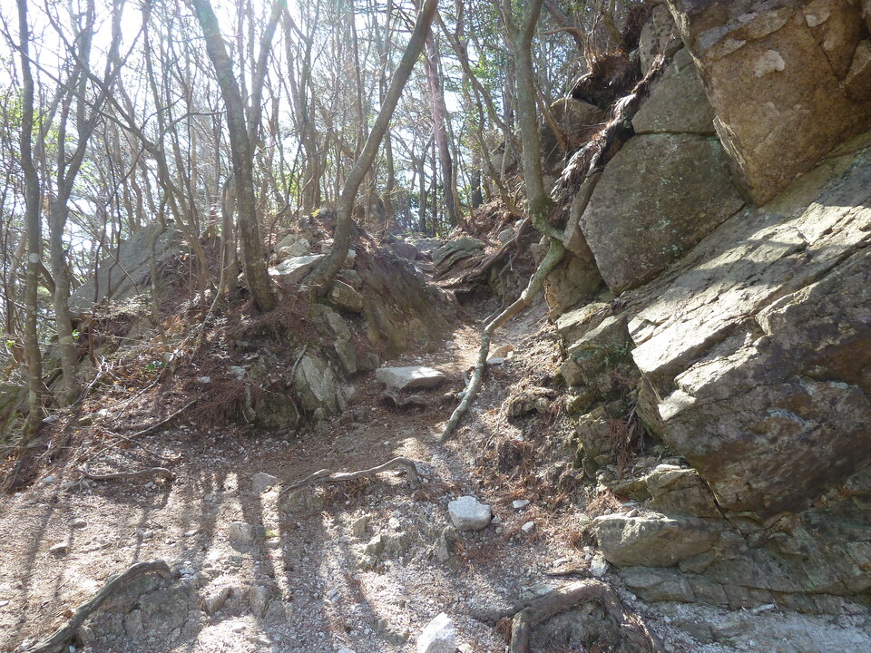 P1150347_mid.jpg