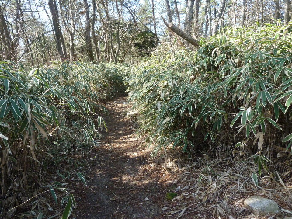 P1150350_mid.jpg