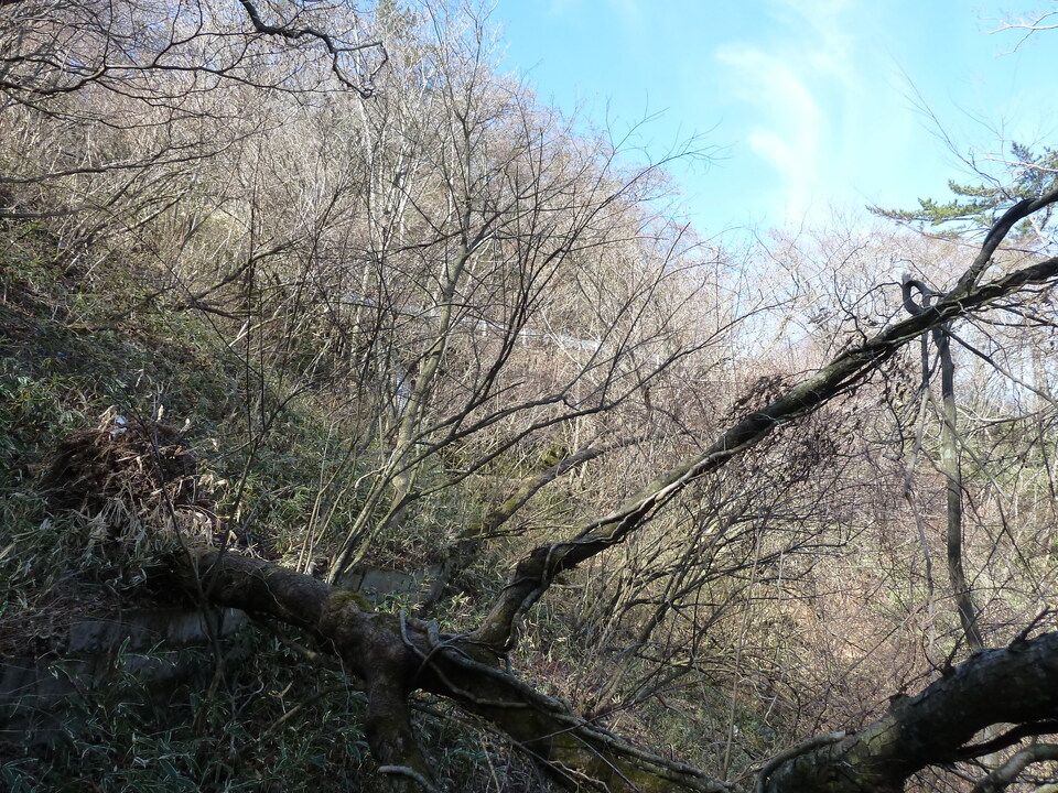 P1150353_mid.jpg