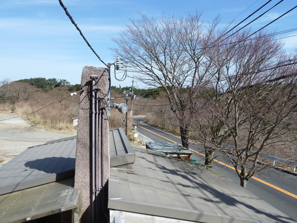 P1150358_mid.jpg