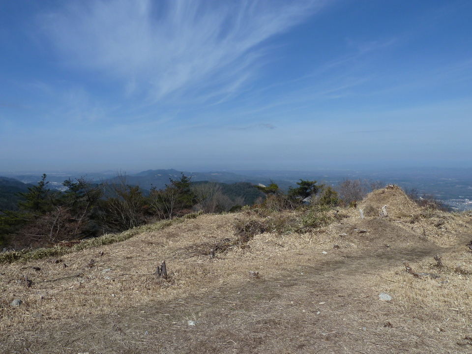 P1150367_mid.jpg