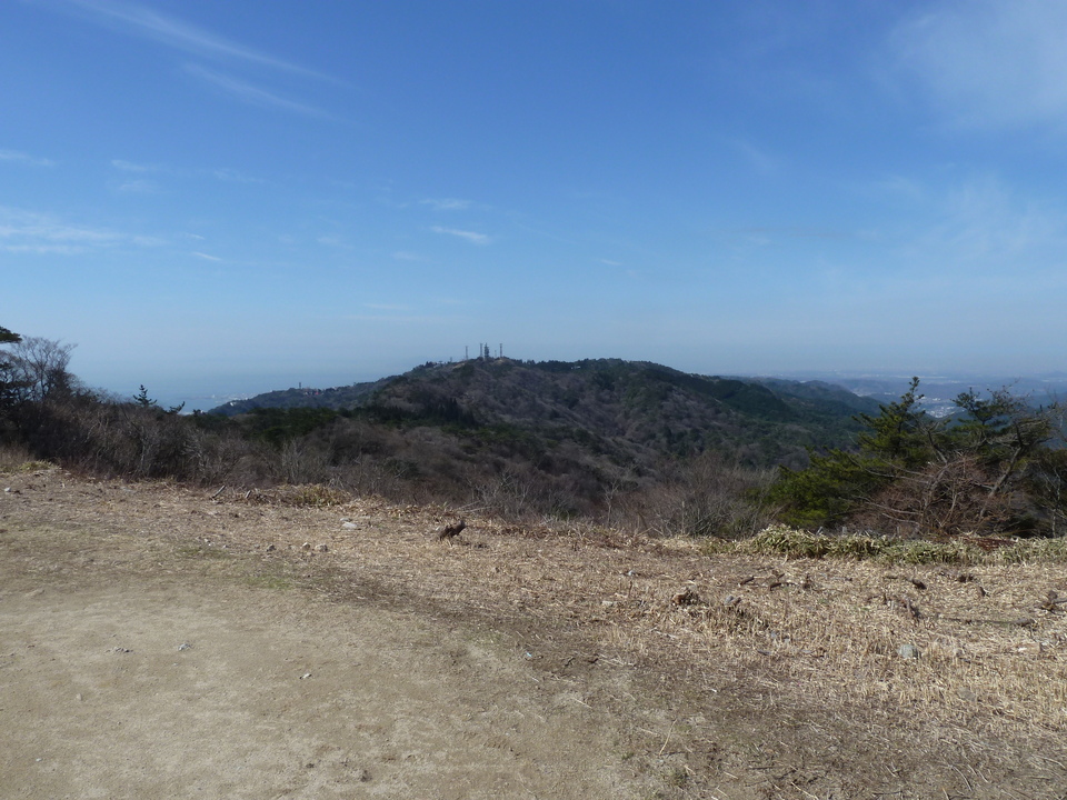 P1150368_mid.jpg