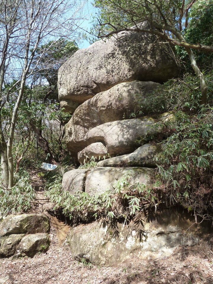 P1150381_mid.jpg