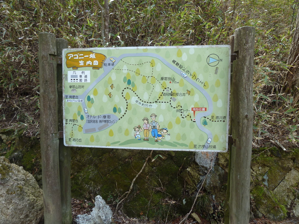 P1150389_mid.jpg