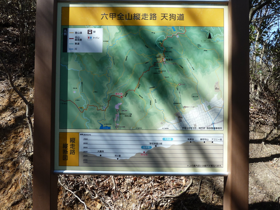 P1150407_mid.jpg