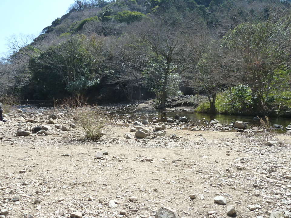 P1150408_mid.jpg