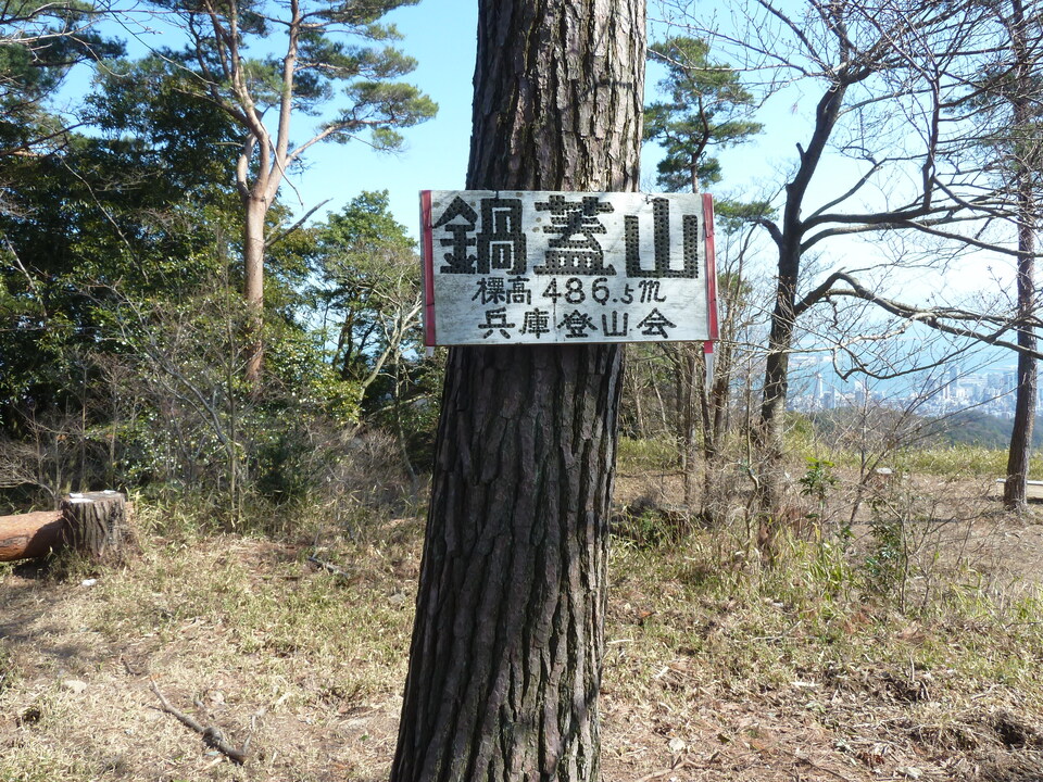 P1150411_mid.jpg