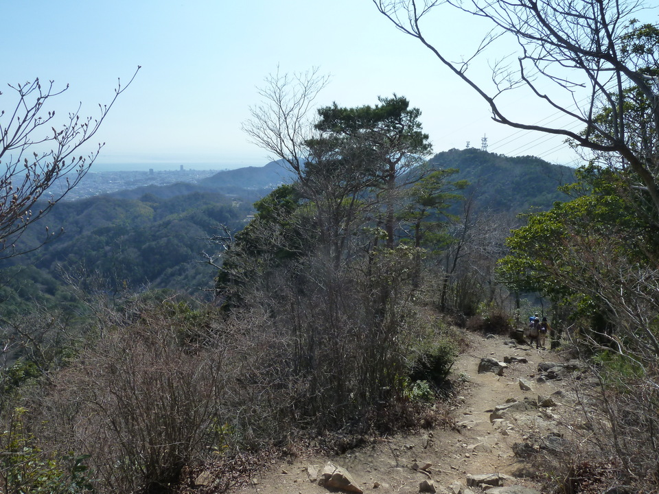 P1150413_mid.jpg