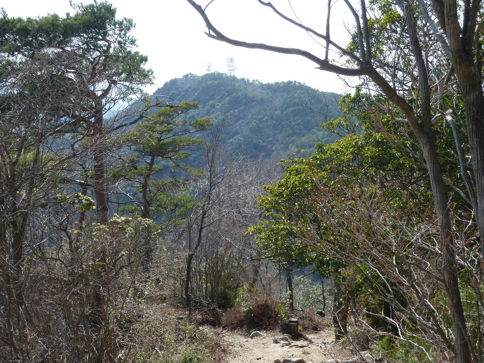 P1150415_mid.jpg