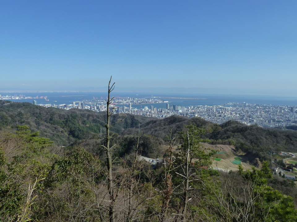 P1150427_mid.jpg