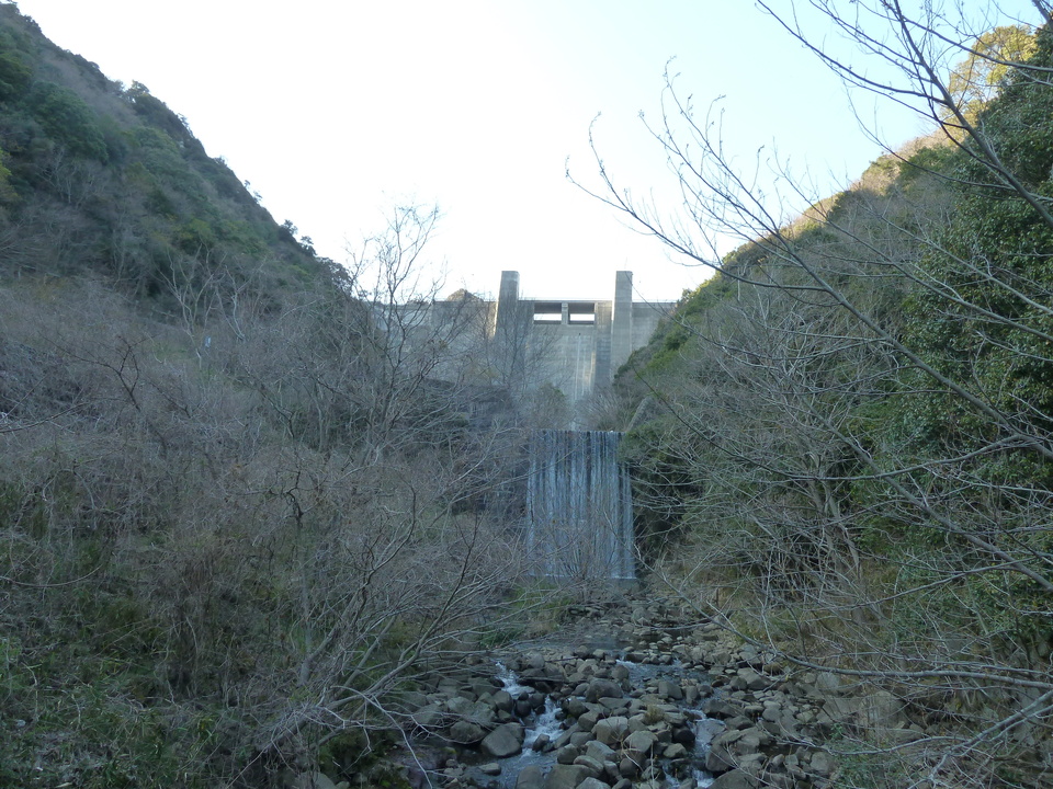 P1150430_mid.jpg
