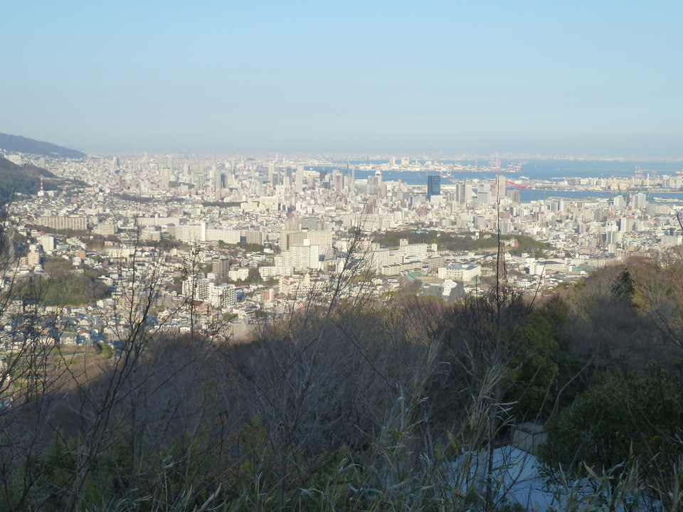 P1150441_mid.jpg