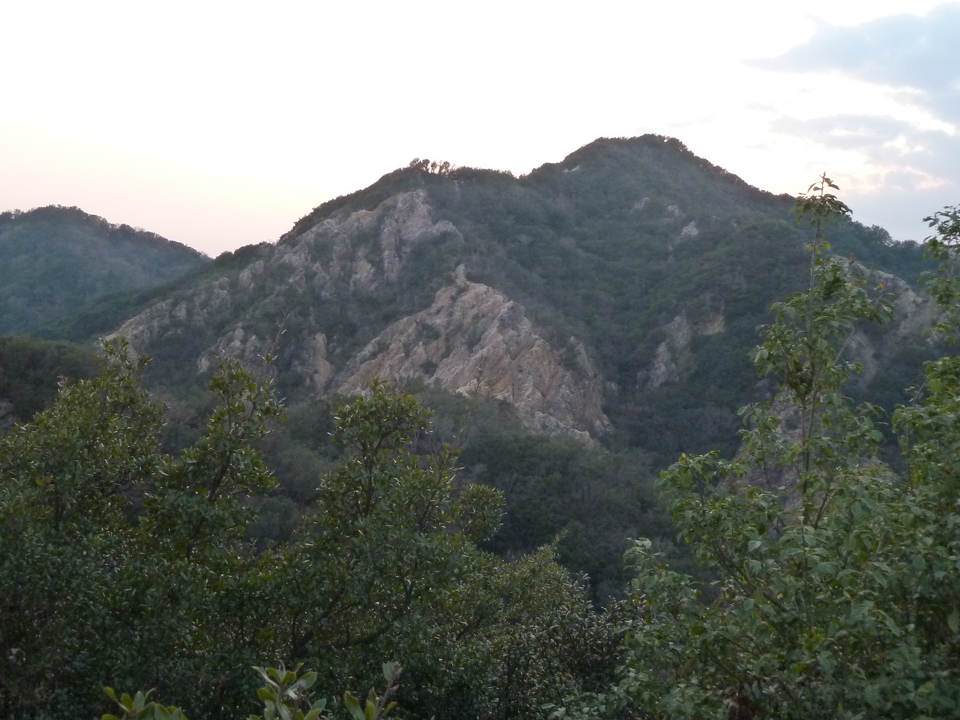 P1150446_mid.jpg