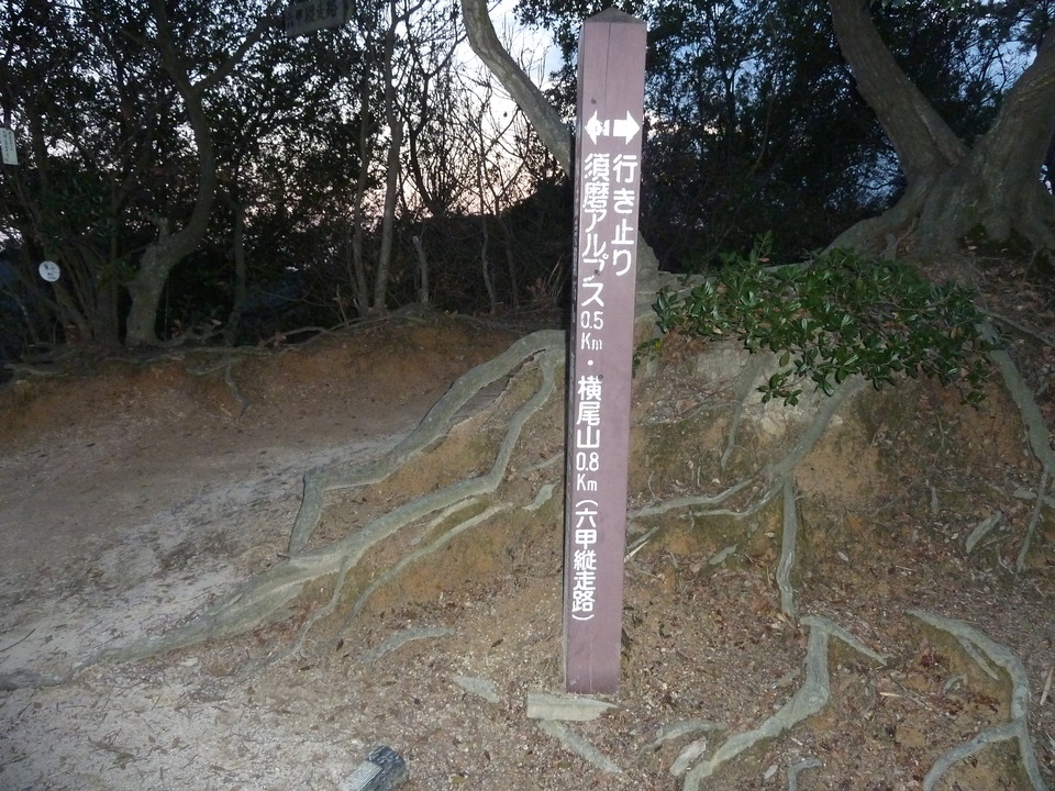 P1150448_mid.jpg