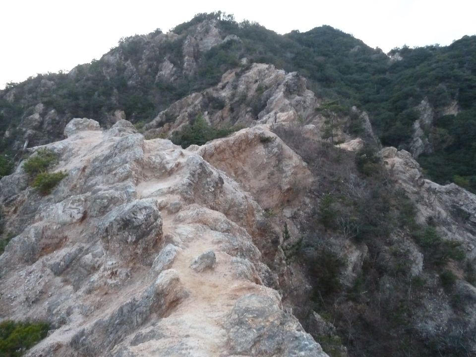 P1150450_mid.jpg