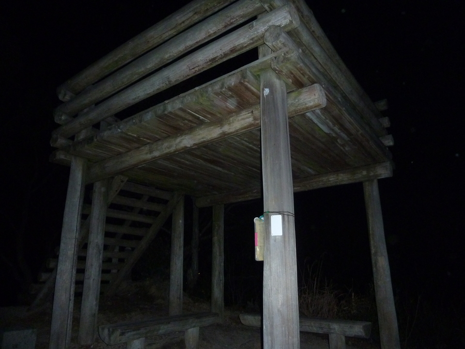 P1150453_mid.jpg