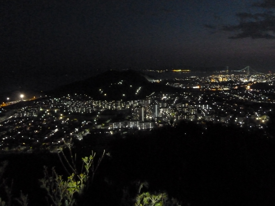 P1150454_mid.jpg