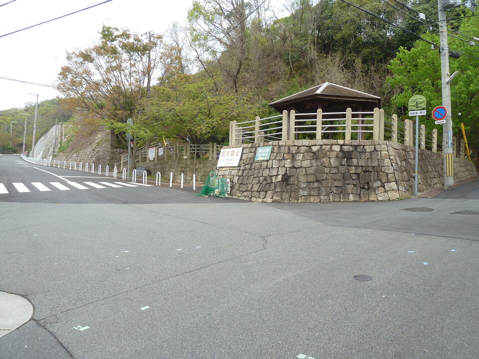 P1150726_mid.jpg