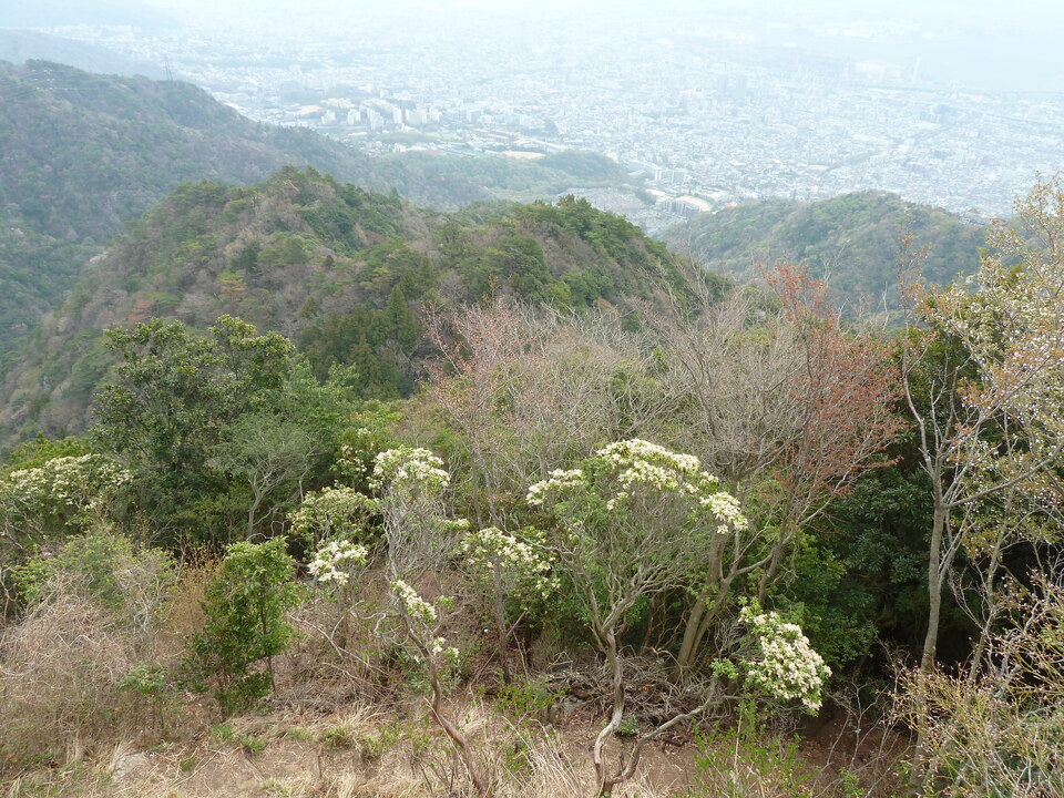 P1150821_mid.jpg