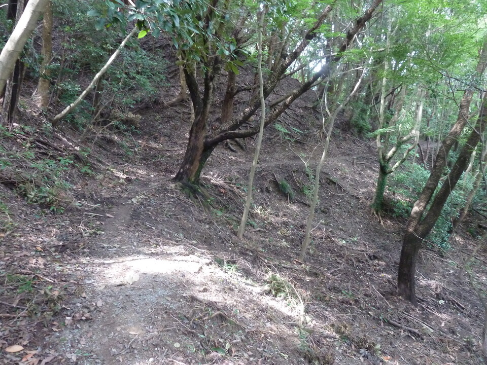 P1170011_mid.jpg
