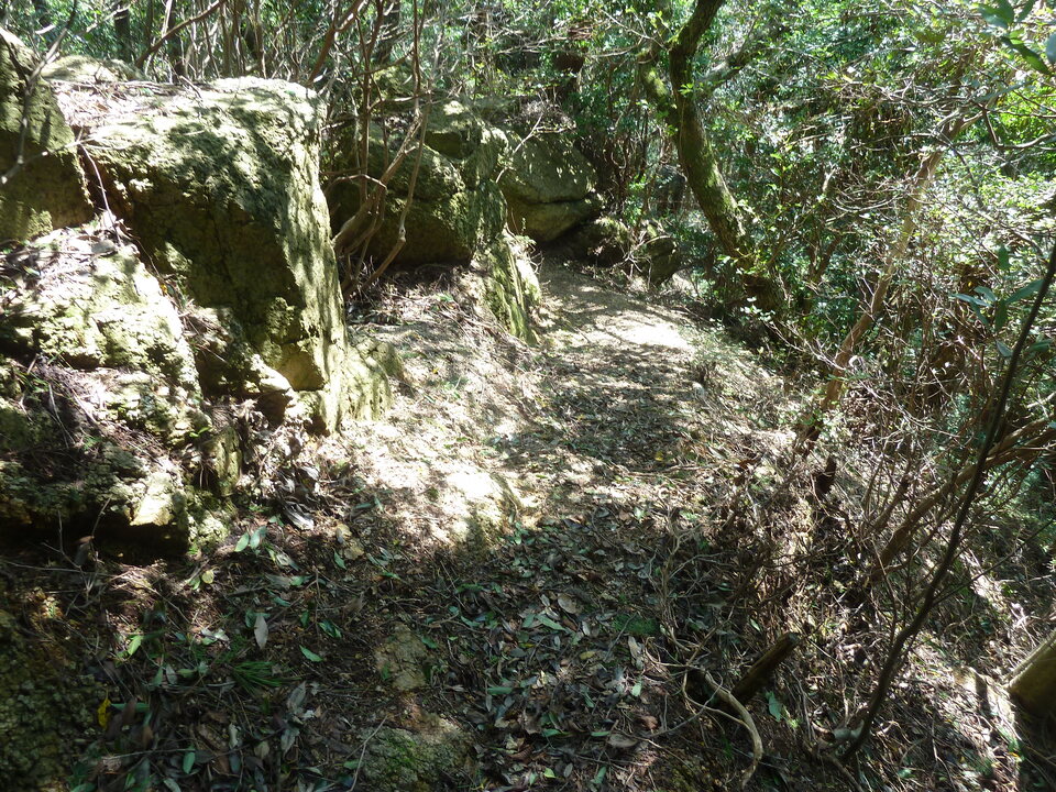 P1170158_mid.jpg