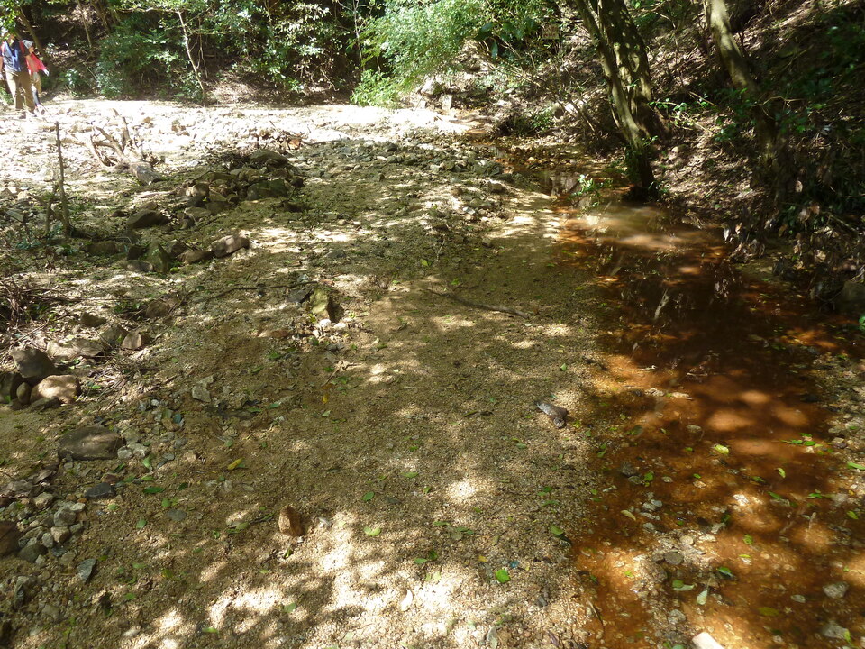 P1170204_mid.jpg