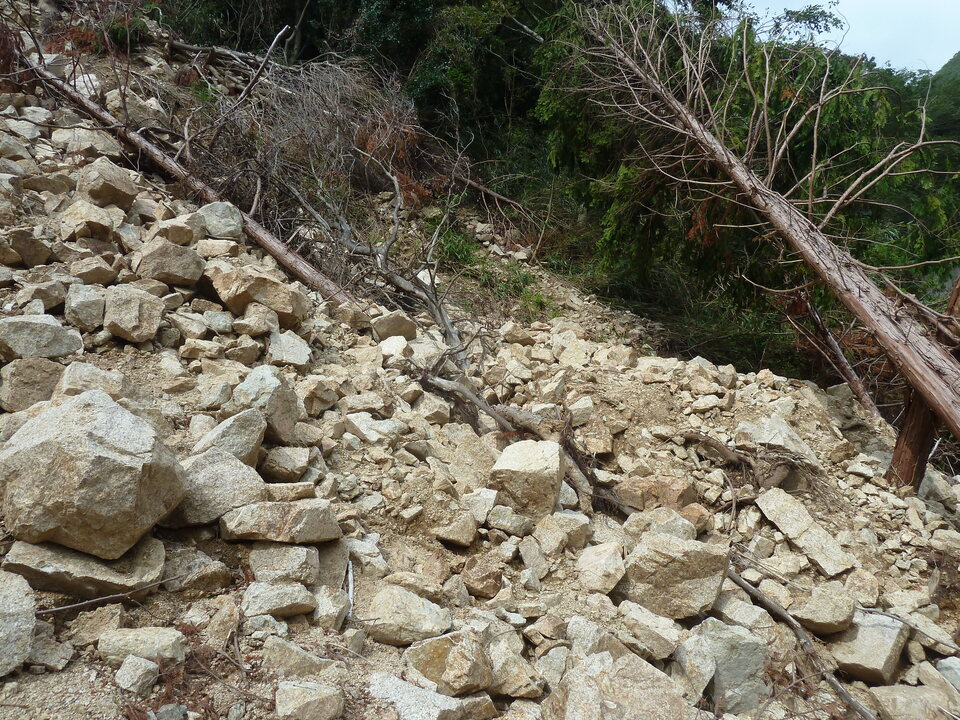 P1170220_mid.jpg