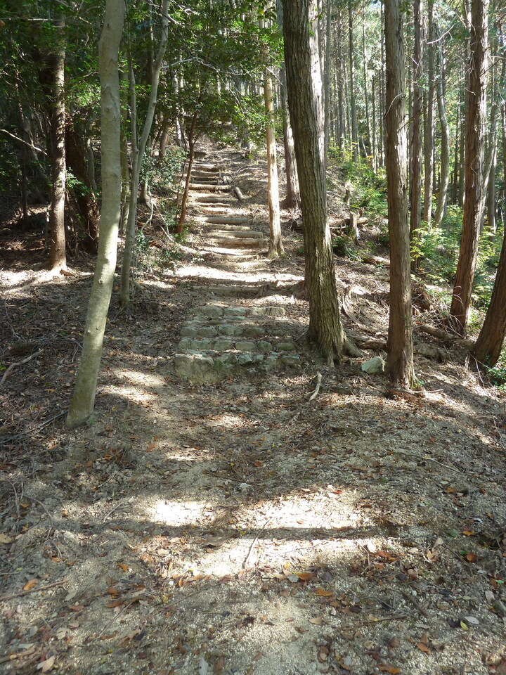 P1190197_mid.jpg
