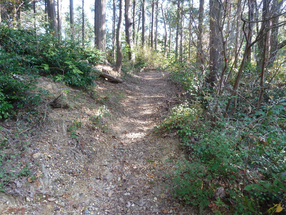 P1190199_mid.jpg
