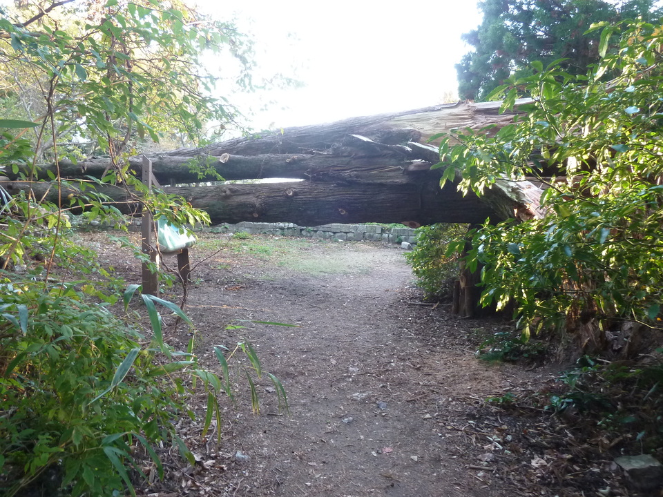 P1190248_mid.jpg