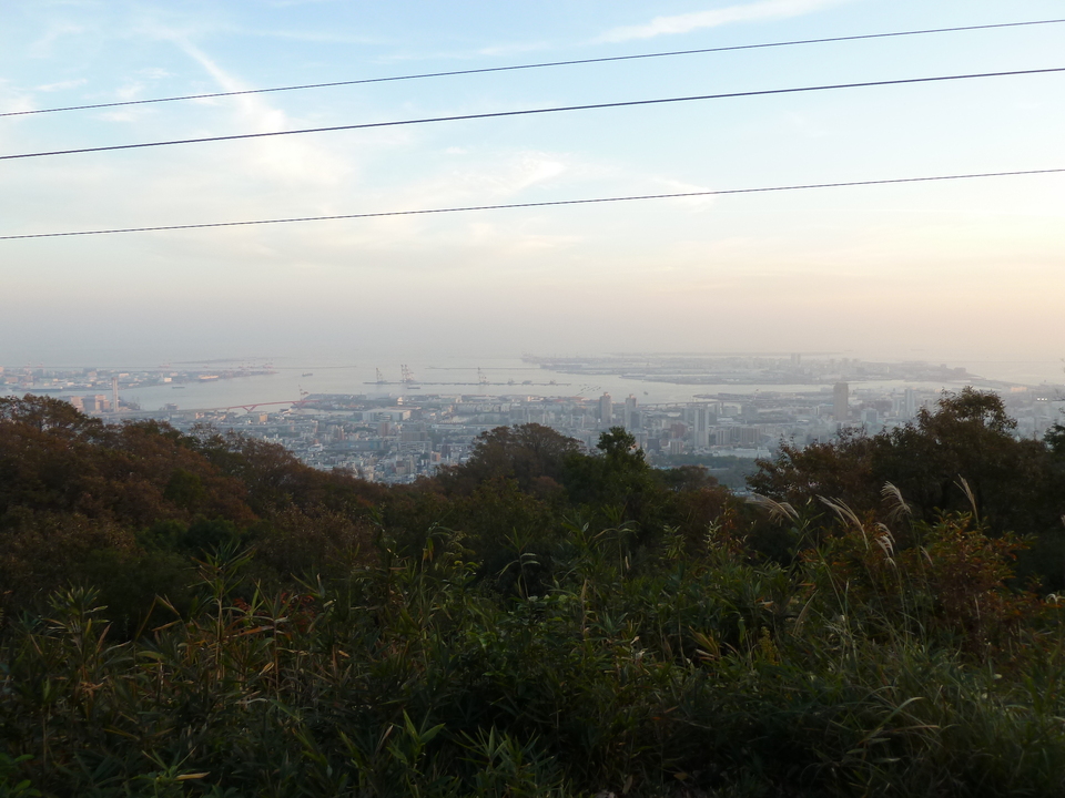 P1190252_mid.jpg