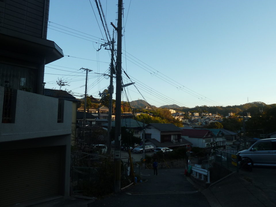 P1190269_mid.jpg