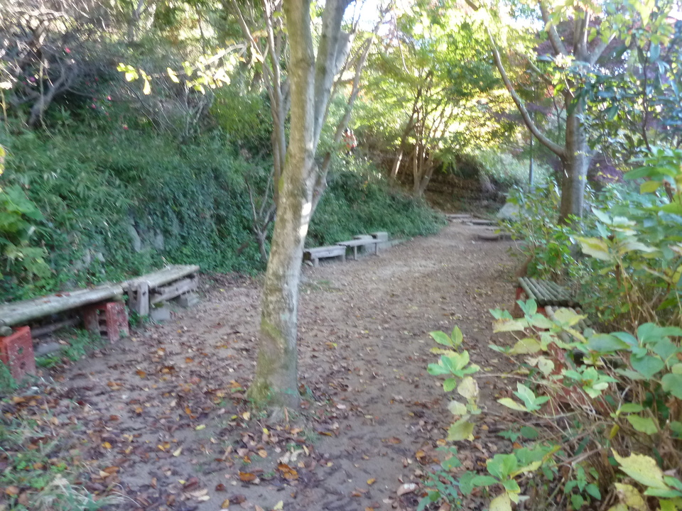 P1190279_mid.jpg