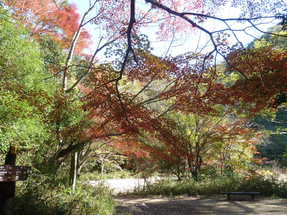 P1190288_mid.jpg