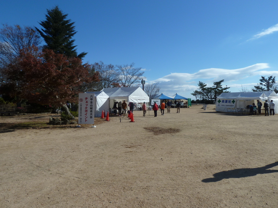 P1190291_mid.jpg