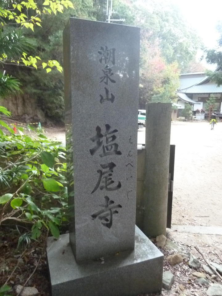 P1190304_mid.jpg