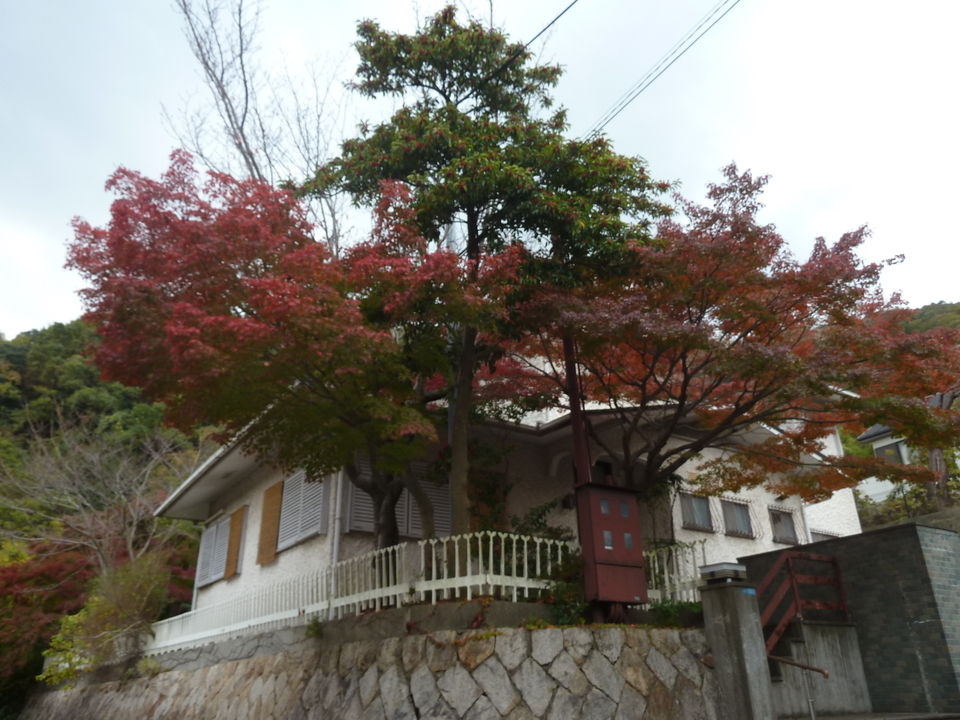 P1190305_mid.jpg