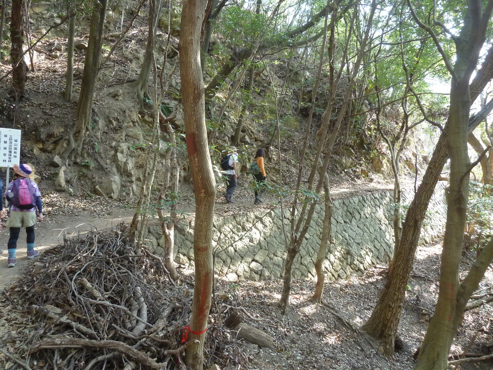 P1200607_mid.jpg