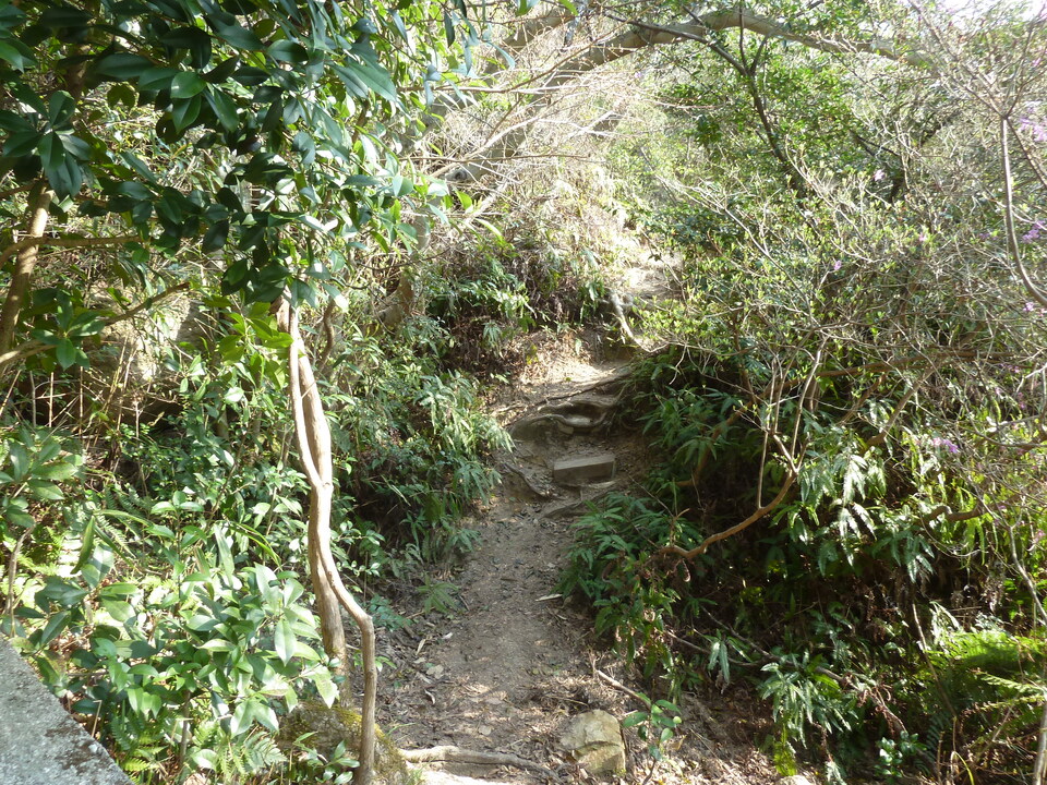 P1200609_mid.jpg