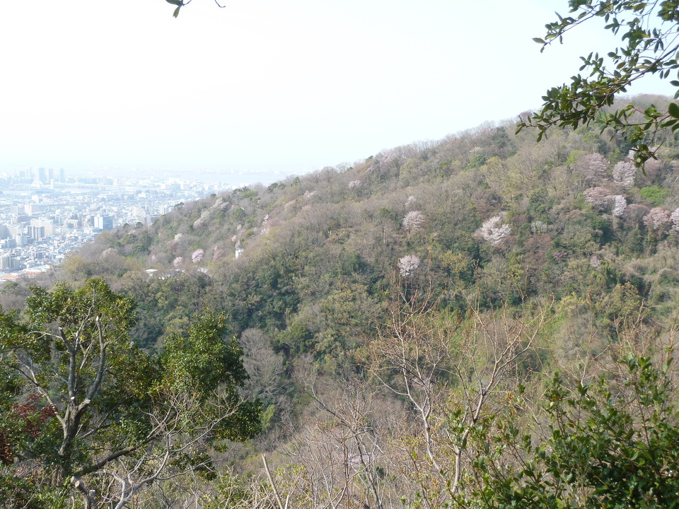 P1200635_mid.jpg