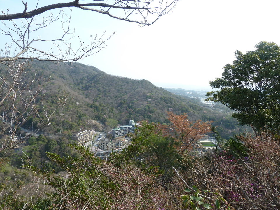 P1200641_mid.jpg