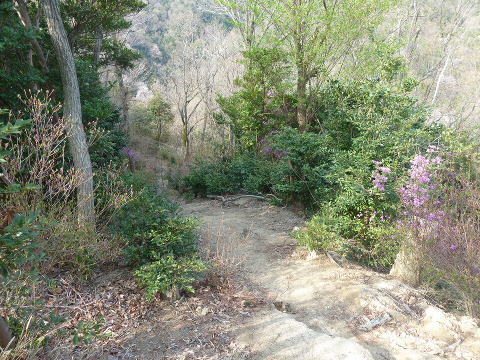 P1200646_mid.jpg