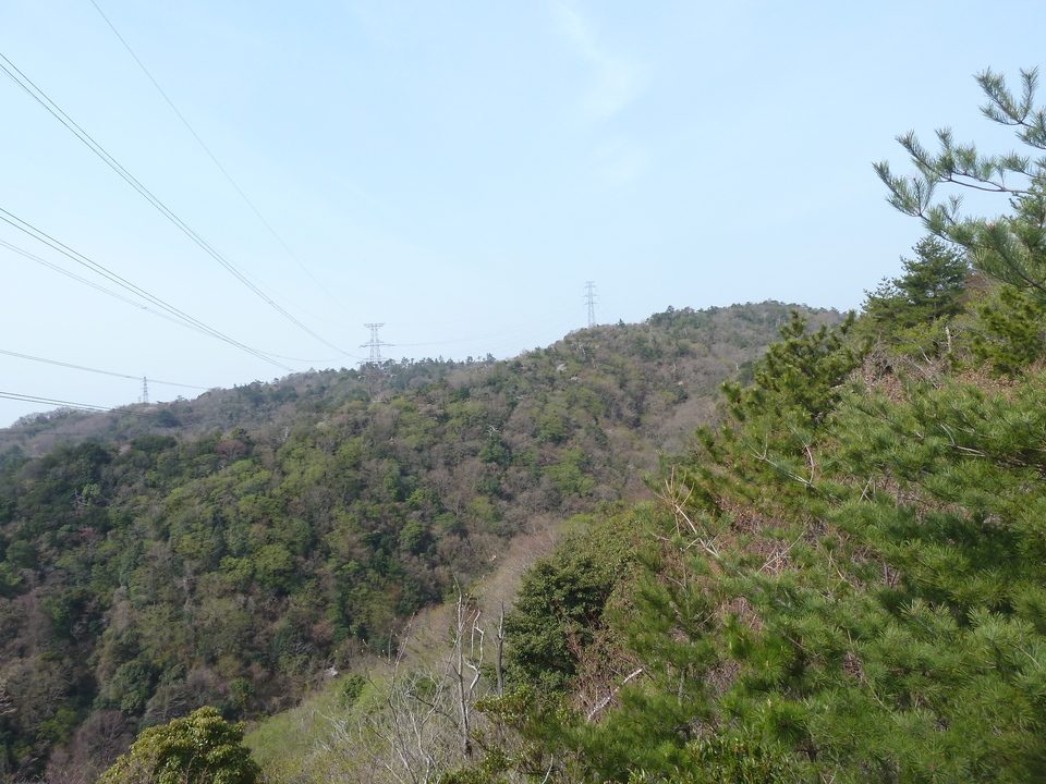 P1200672_mid.jpg