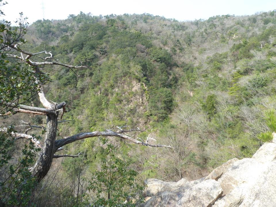 P1200677_mid.jpg