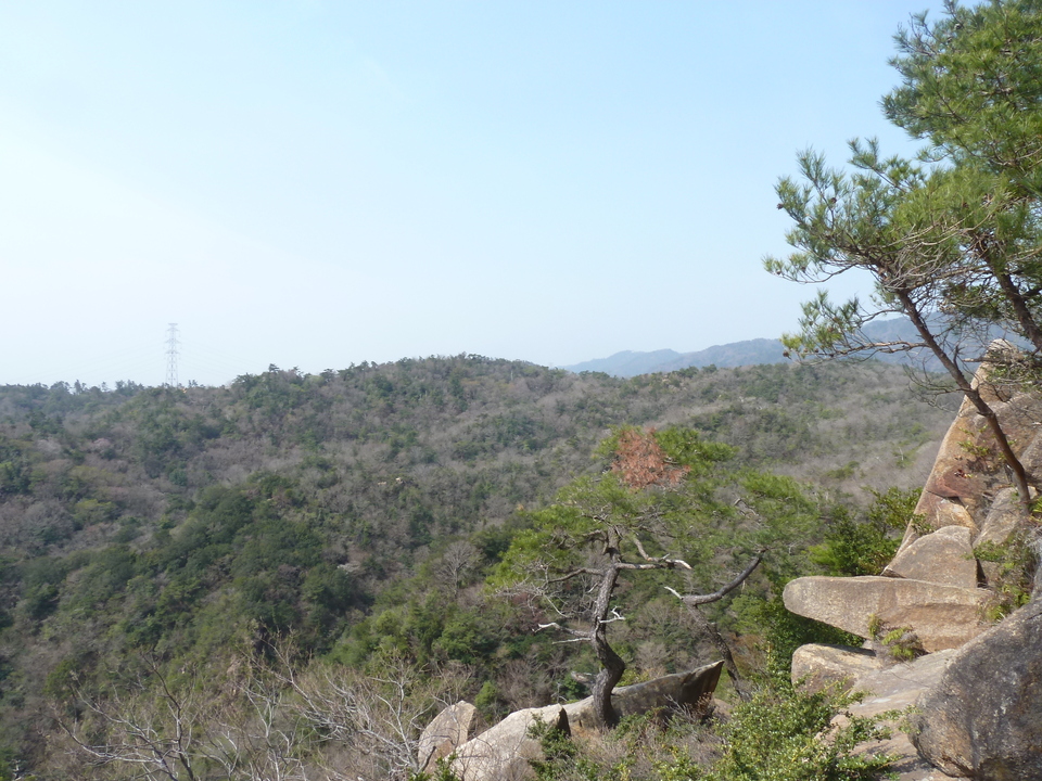 P1200701_mid.jpg